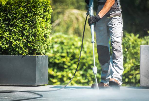 Best Driveway Pressure Washing  in Franklin Park, NJ